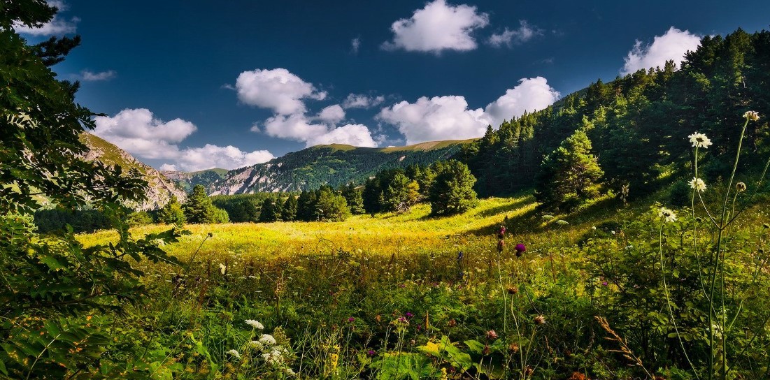 Краснодарский край